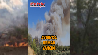 Aydın'da orman yangını