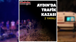 Aydın'da trafik kazası: 2 yaralı