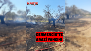 Germencik’te arazi yangını