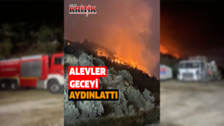 Söke'deki orman yangınında alevler geceyi aydınlattı