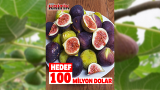 Taze incir ihracatında hedef 100 milyon dolar