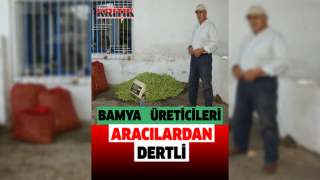 Aydınlı bamya üreticileri 'bamya kooperatifi' kurulmasını istiyor