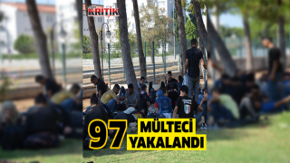 Didim’de 97 mülteci kamyonet kasasında yakalandı