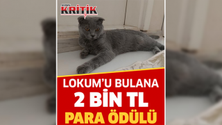 Lokum'u bulana 2 bin TL para ödülü