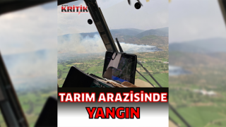 Nazilli'de tarım arazisinde yangın