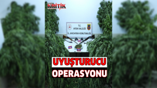 Nazilli’de uyuşturucu operasyonu