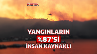 “Orman yangınlarının yüzde 87’si insan kaynaklı”