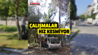 Söke Belediyesi Park İşleri Ekipleri çalışmalarında hız kesmiyor