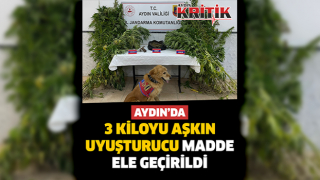 Aydın'da 3 kiloyu aşkın uyuşturucu madde ele geçirildi