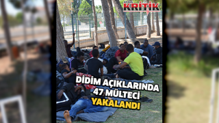 Didim açıklarında 47 mülteci yakalandı