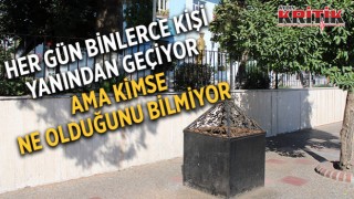 Her gün binlerce kişi yanından geçiyor ama ne olduğunu kimse bilmiyor