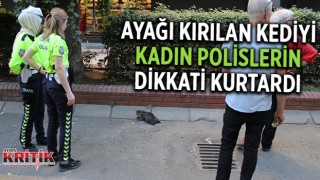 Ayağı kırılan kediyi, kadın polislerin dikkati kurtardı