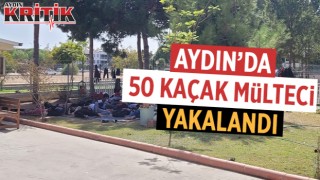 Aydın'da 50 kaçak mülteci yakalandı