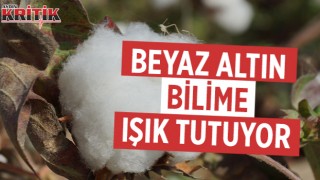 Beyaz altın bilime ışık tutuyor