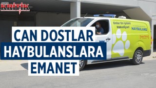 CAN DOSTLAR HAYBULANSLARA EMANET