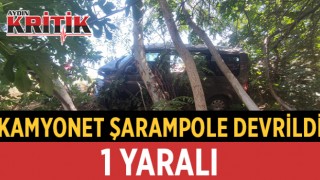 Kamyonet şarampole devrildi: 1 yaralı