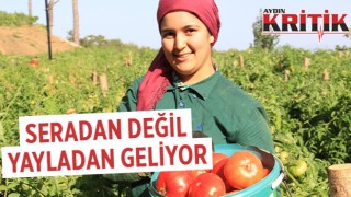 Seradan değil yayladan geliyor