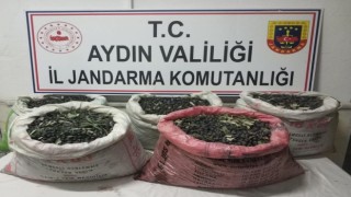 Çaldılar, yağ yapıp sattılar