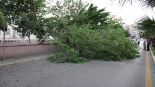 Meteoroloji’den Aydın’a kuvvetli rüzgar ve fırtına uyarısı