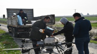  Söke Belediyesi’nin buğday arazisi dronla gübrelendi