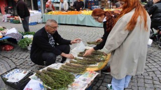 Aydın’ın acı otu, fiyatıyla da görenlerin yüzünü buruşturuyor