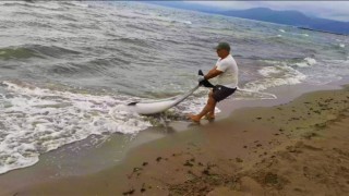 Kuşadası’nda yunus vakaları devam ediyor