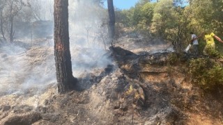 Çine’deki orman yangını büyümeden kontrol altına alındı