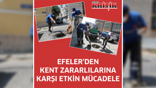 EFELER’DEN KENT ZARARLILARINA KARŞI ETKİN MÜCADELE