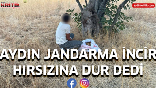 Aydın Jandarma incir hırsızına dur dedi