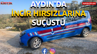 Aydın'da incir hırsızlarına suçüstü