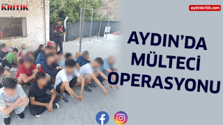 Aydın'da mülteci operasyonu 70 mülteci yakalandı