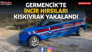 Germencik'te incir hırsızları kıskıvrak yakalandı