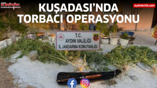 Kuşadası'nda torbacı operasyonu 1 tutuklama