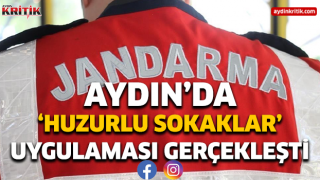 Aydın'da 'Huzurlu Sokaklar' uygulaması gerçekleşti