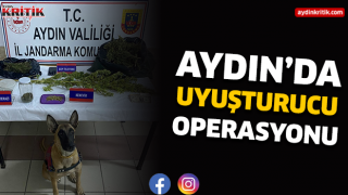 Aydın'da uyuşturucu operasyonu