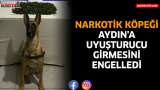 Narkotik köpeği Aydın'a uyuşturucu girmesini engelledi