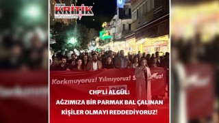 CHP’li Algül; ‘ ağzımıza bir parmak bal çalınan kişiler olmayı reddediyoruz’