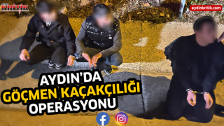 Aydın'da göçmen kaçakçılığı operasyonu