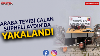 Araba teyibi çalan şüpheli Aydın'da yakalandı