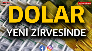 Dolar yeni zirvesinde