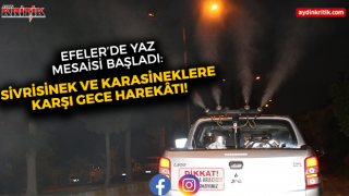 Efeler’de Yaz Mesaisi Başladı: Sivrisinek ve Karasineklere Karşı Gece Harekâtı!