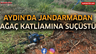 Kuyucak’ta Kamuya Ait Ağaçları Kestiler: 4 Şüpheli Hakkında Adli İşlem Başlatıldı