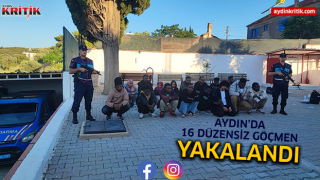 Aydın’da 16 Düzensiz Göçmen Yakalandı