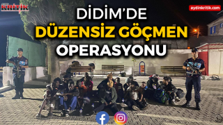 Didim’de düzensiz göçmen operasyonu