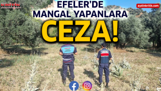 Efeler’de mangal yapanlara ceza!