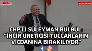 CHP’li Süleyman Bülbül: “İncir Üreticisi Tüccarların Vicdanına Bırakılıyor”