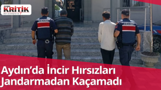 Aydın’da İncir Hırsızları Jandarmadan Kaçamadı