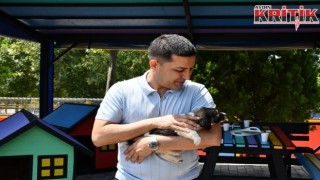 Başkan Ömer Günel’den can dostlar için yeni bir hizmet daha