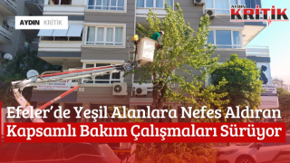 Efeler’de Yeşil Alanlara Nefes Aldıran Kapsamlı Bakım Çalışmaları Sürüyor