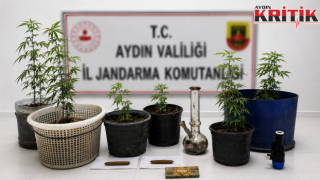 Kuşadası’nda Uyuşturucu Operasyonu: 6 Kök Skunk Ele Geçirildi